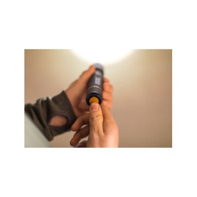 Prožektorius 350LM Premium 3