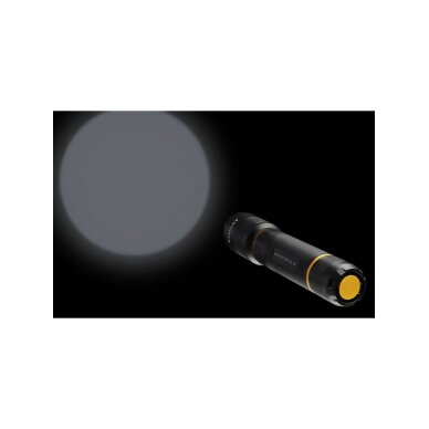 Prožektorius 350LM Premium 6