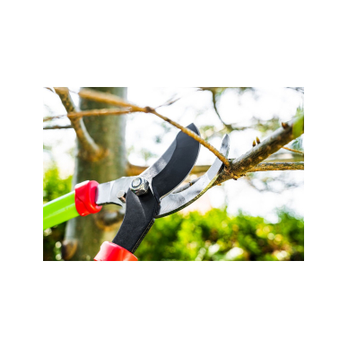 Pruning shears 680 mm, cutting diameter 35 mm 3