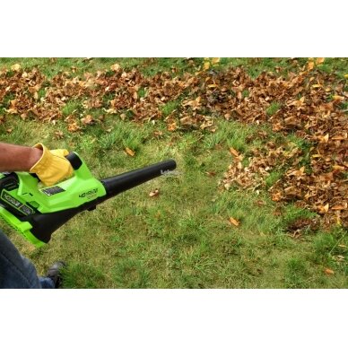 Akumuliatorinis lapų pūstuvas Greenworks G24ABK2, 24 V, 2,0 Ah 5 Akumuliatorinis lapų pūstuvas Greenworks G24ABK2, 24 V, 2,0 Ah 5
