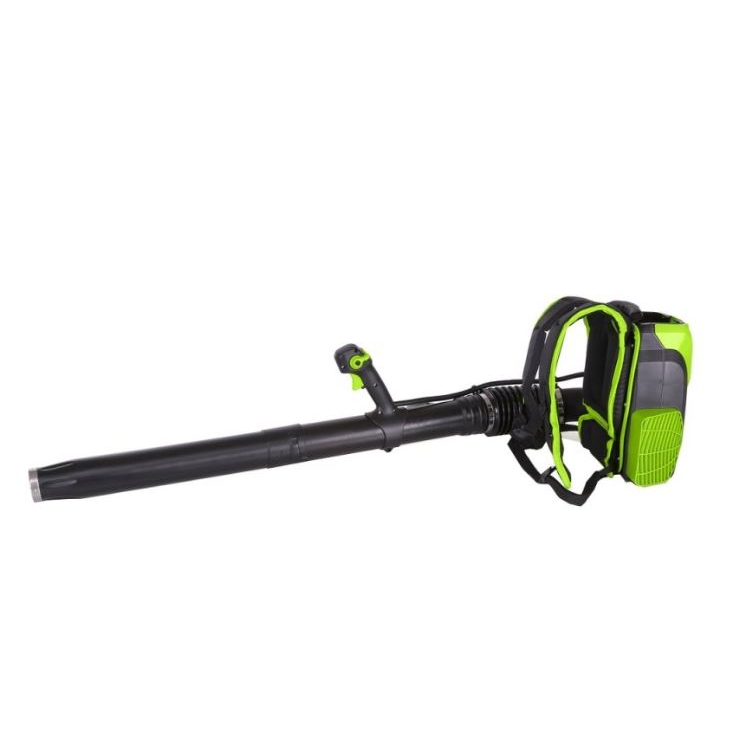 PŪSTUVAS-KUPRINĖ Greenworks GD60BPBK4, 60V (su 4Ah akumuliatoriumi ir krovikliu)