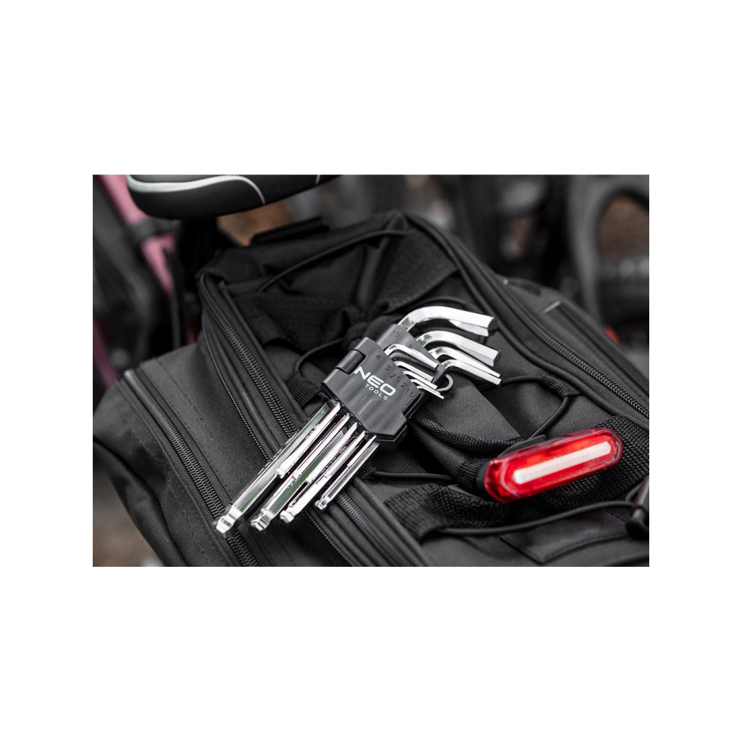 Raktai šešiakampiai ilgi 1,5-10 mm 9 vnt. 1