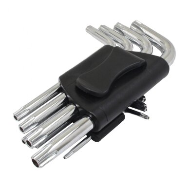 Raktai Torx su skyle TS10-TS50 1