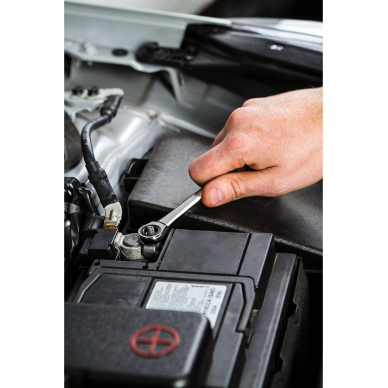 Raktas plokščias, kilpinis su terkšle 10 mm 3 Raktas plokščias, kilpinis su terkšle 10 mm 3