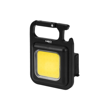 Rakto lemputė Rakto lemputė