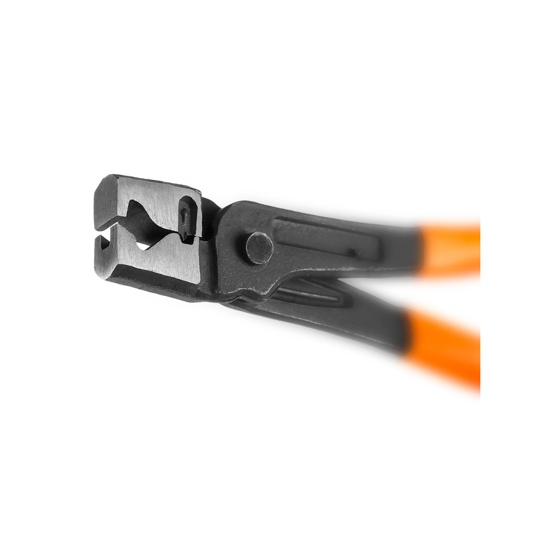 Replės žiedams 4 Replės žiedams 4