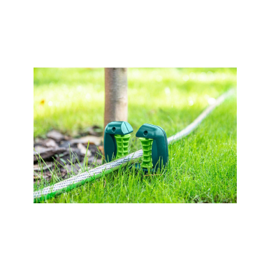 Ritininės žarnos kreipiančioji 1 Ritininės žarnos kreipiančioji 1