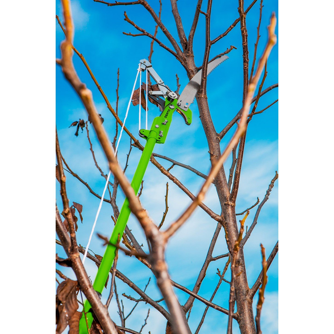 Saw pruner with rattle, cutting diameter for pruner 30 mm 1