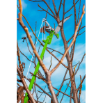 Saw pruner with rattle, cutting diameter for pruner 30 mm