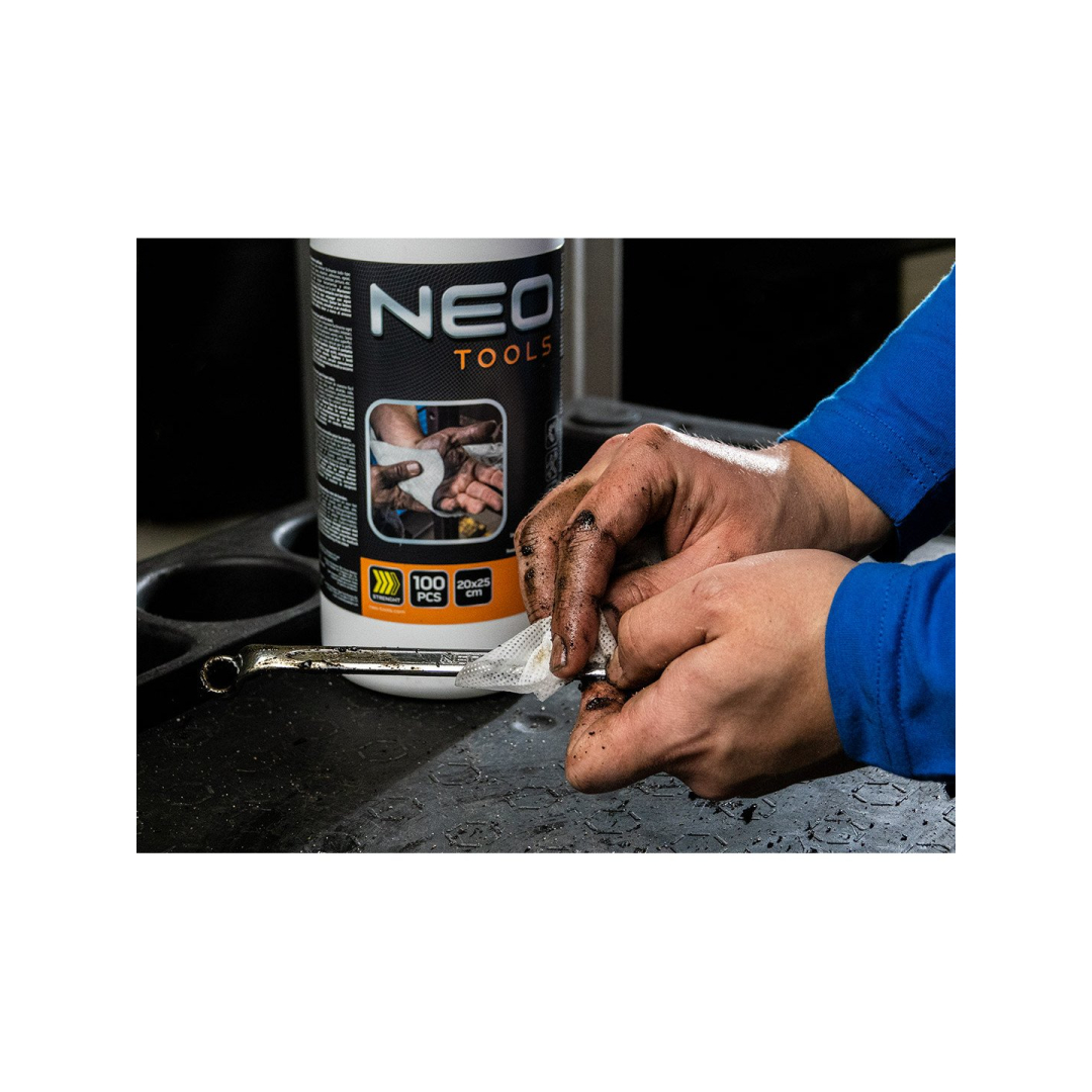 Servetėlės rankoms plauti ir valyti nuo įsisenėjusių nešvarumų, indelis, 100 vnt. 2