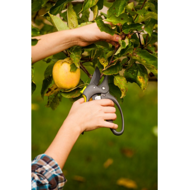 Sekatorius CRAZY 200 mm (maks. 30 mm) 2 Sekatorius CRAZY 200 mm (maks. 30 mm) 2