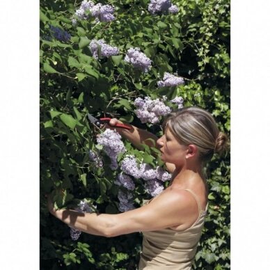 Sekatorius FELCO 160L 1 Sekatorius FELCO 160L 1