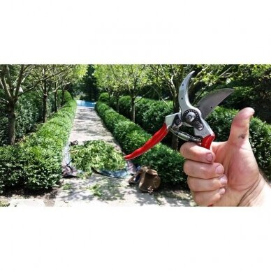 Sekatorius FELCO 2 1 Sekatorius FELCO 2 1