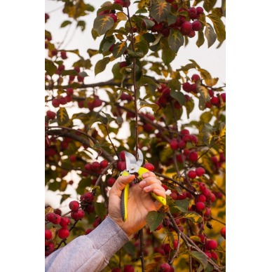 Sekatorius SEXY 200 mm (maks. 20 mm) 2 Sekatorius SEXY 200 mm (maks. 20 mm) 2