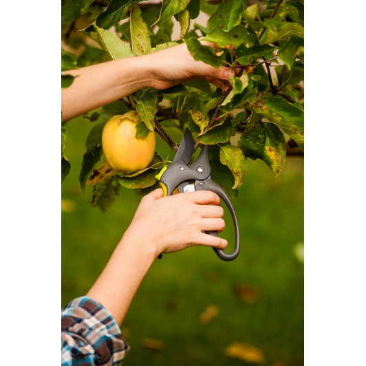 Sekatorius CRAZY 200 mm (maks. 30 mm) 2 Sekatorius CRAZY 200 mm (maks. 30 mm) 2