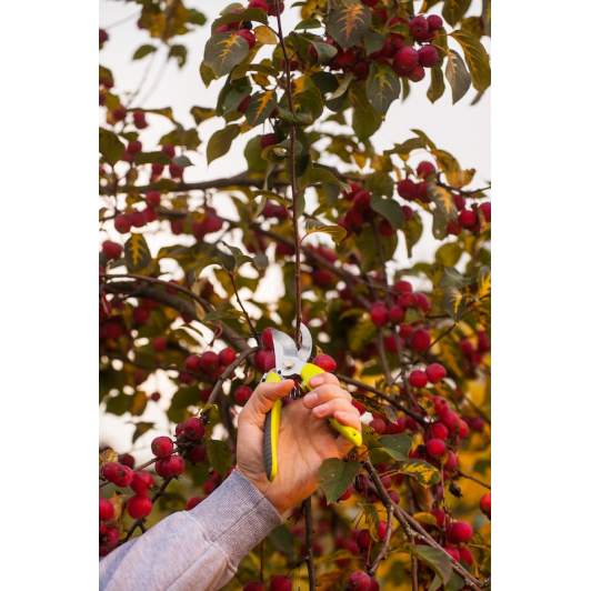 Sekatorius SEXY 200 mm (maks. 20 mm) 2 Sekatorius SEXY 200 mm (maks. 20 mm) 2