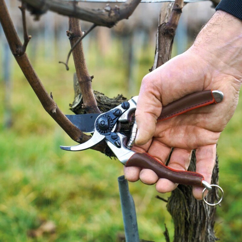 Sekatorius FELCO 6 Elite 3 Sekatorius FELCO 6 Elite 3