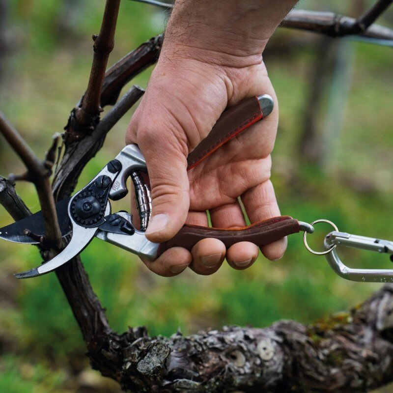 Sekatorius FELCO 8 Elite 3