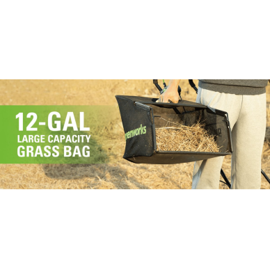 SKARIFIKATORIUS II 38cm Greenworks 24X2V GD24X2SC38II (tik įrankis) 8