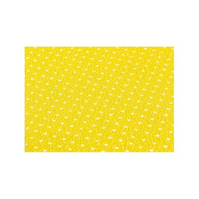 Šlifavimo diskai, perforuoti, „Velcro“, užpildyti skylėmis 225 mm, P150, 5 vnt. 4