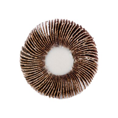 Šlifavimo popierius 60 x 15 x 6 mm, p60 4