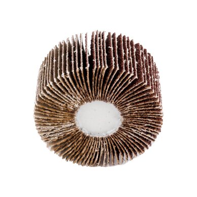 Šlifavimo popierius 60 x 30 x 6 mm, p40 4