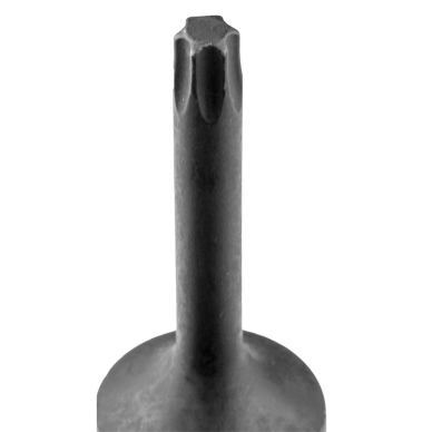 Smūginis galvutė T30 8
