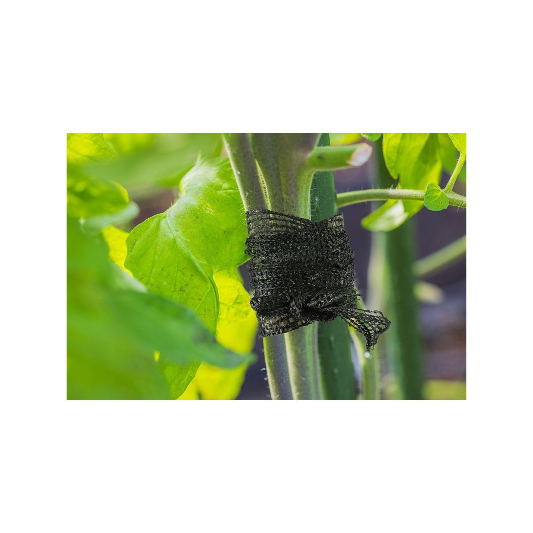 Sodininkystės tinklinė juosta, skirta augalams palaikyti, 30 mm, 50 m 2 Sodininkystės tinklinė juosta, skirta augalams palaikyti, 30 mm, 50 m 2