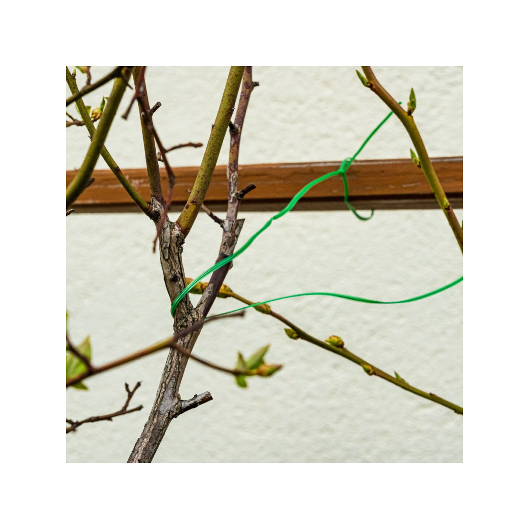 Sodo viela 1,5 mm, 50 m 3