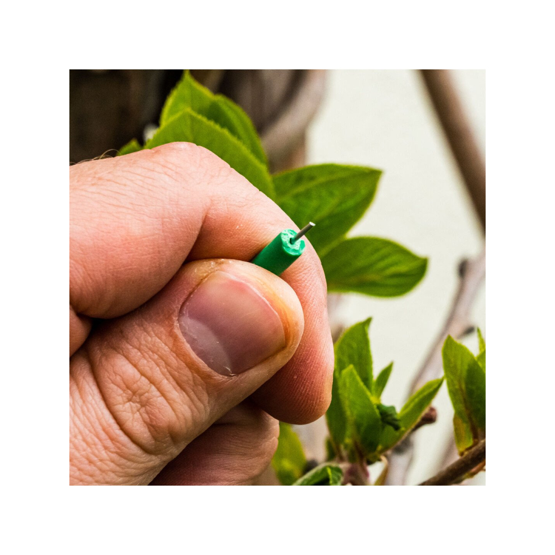 Sodo viela 5 mm, 4 m 6