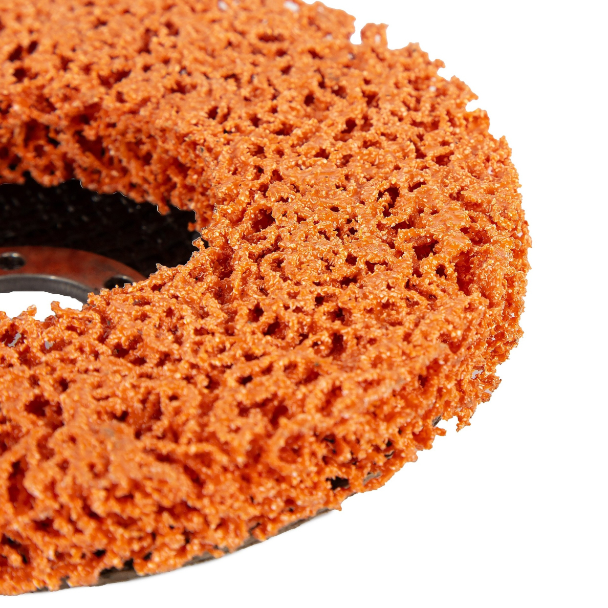 SPECIALIST+ nailoninis valymo diskas PREMIUM, 125mm 2 SPECIALIST+ nailoninis valymo diskas PREMIUM, 125mm 2