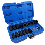 Specialus galvučių rinkinys / sraigtiniai ištraukikliai | 12,5 mm (1/2") | 8 - 27 mm | 16 vnt. (SK2016185)