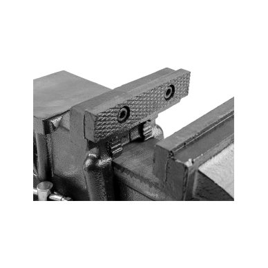 Spaustai preciziniai 100mm 6