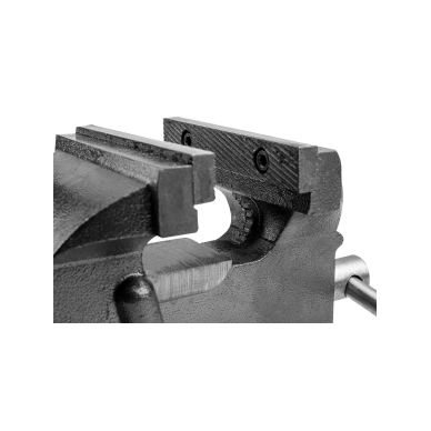 Spaustai preciziniai 125mm 6