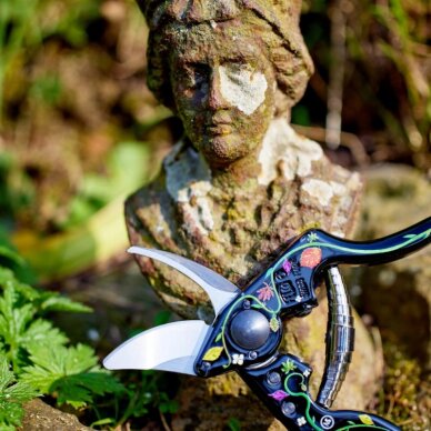 Specialaus leidimo sekatorius FELCO 6Ed 2