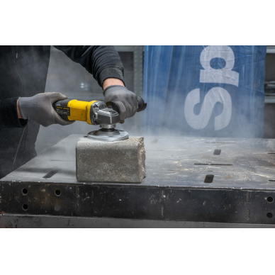 SPECIALIST+ deimantinė šlif. Lėkštelė, T formos, 125x22 mm 3 SPECIALIST+ deimantinė šlif. Lėkštelė, T formos, 125x22 mm 3