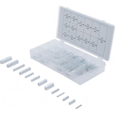 Spraustukų asortimentas | 60 vnt. (8141) Spraustukų asortimentas | 60 vnt. (8141)