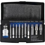 Sraigtiniai ištraukikliai | sugadintiems T-Star (Torx) T10 - T55 | 11 vnt. (9170)