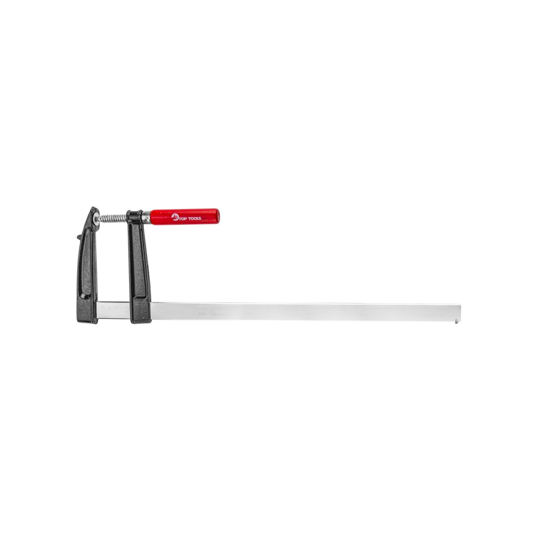 Staliaus spaustuvas 300x120