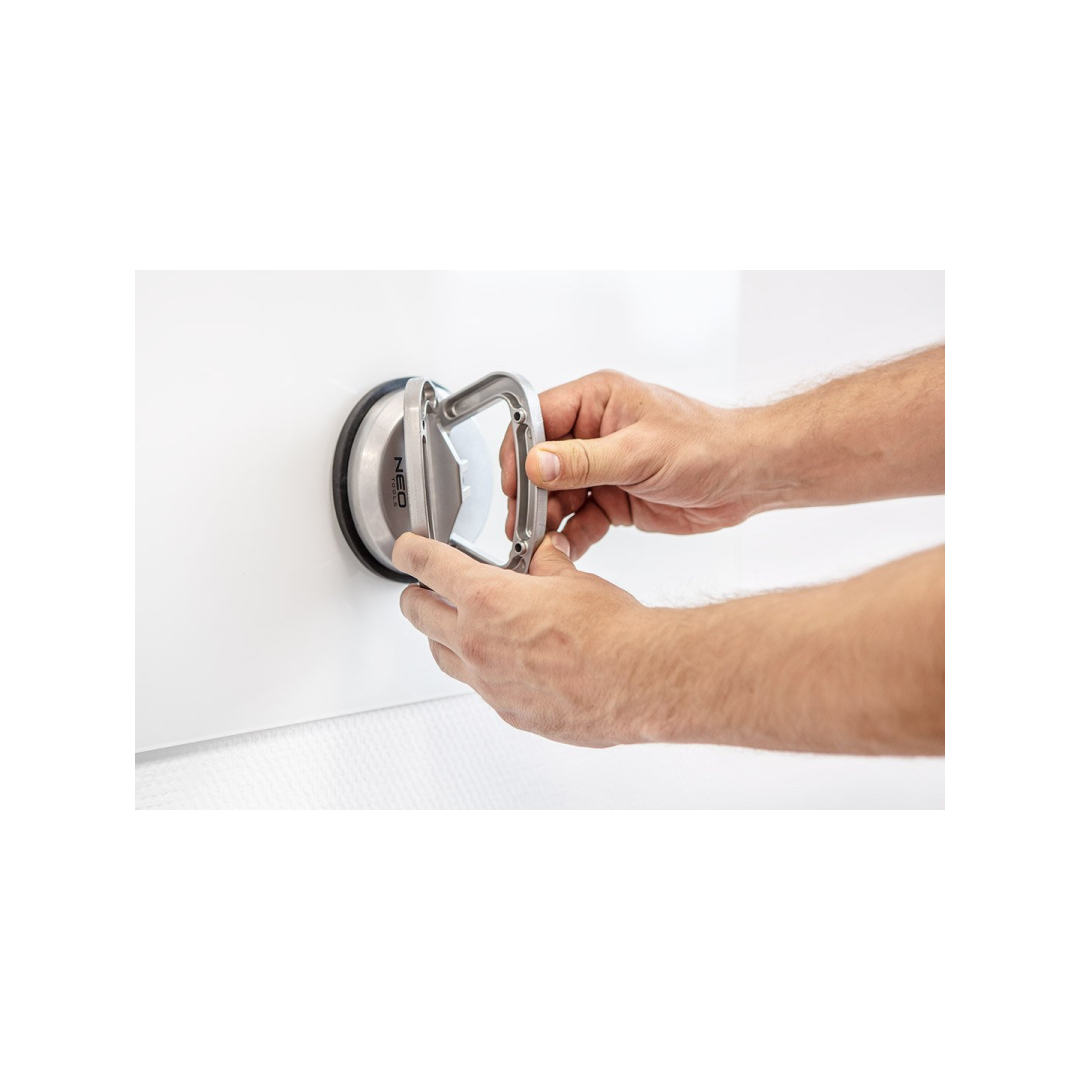 Stiklo neštuvas viengubas alium , 50 kg 3