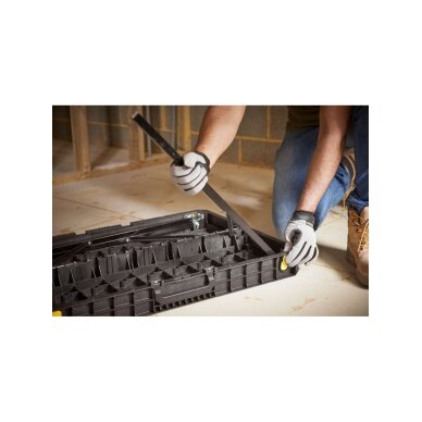 Sulankstoma darbastalis Sulankstoma darbastalis