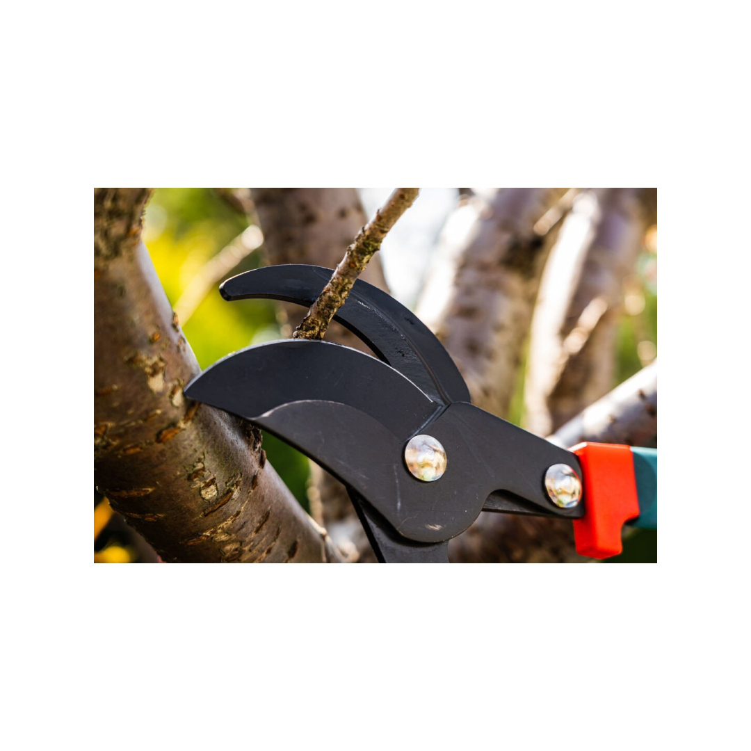 Telescopic Pruning shears  700-1000 mm, cutting diameter 35 mm 4