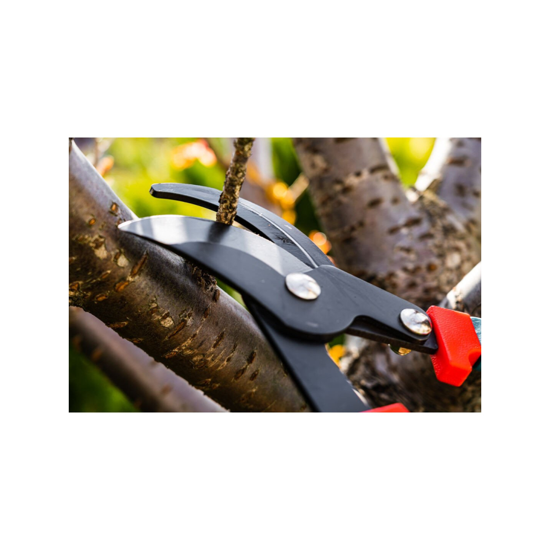 Telescopic Pruning shears  700-1000 mm, cutting diameter 35 mm 5