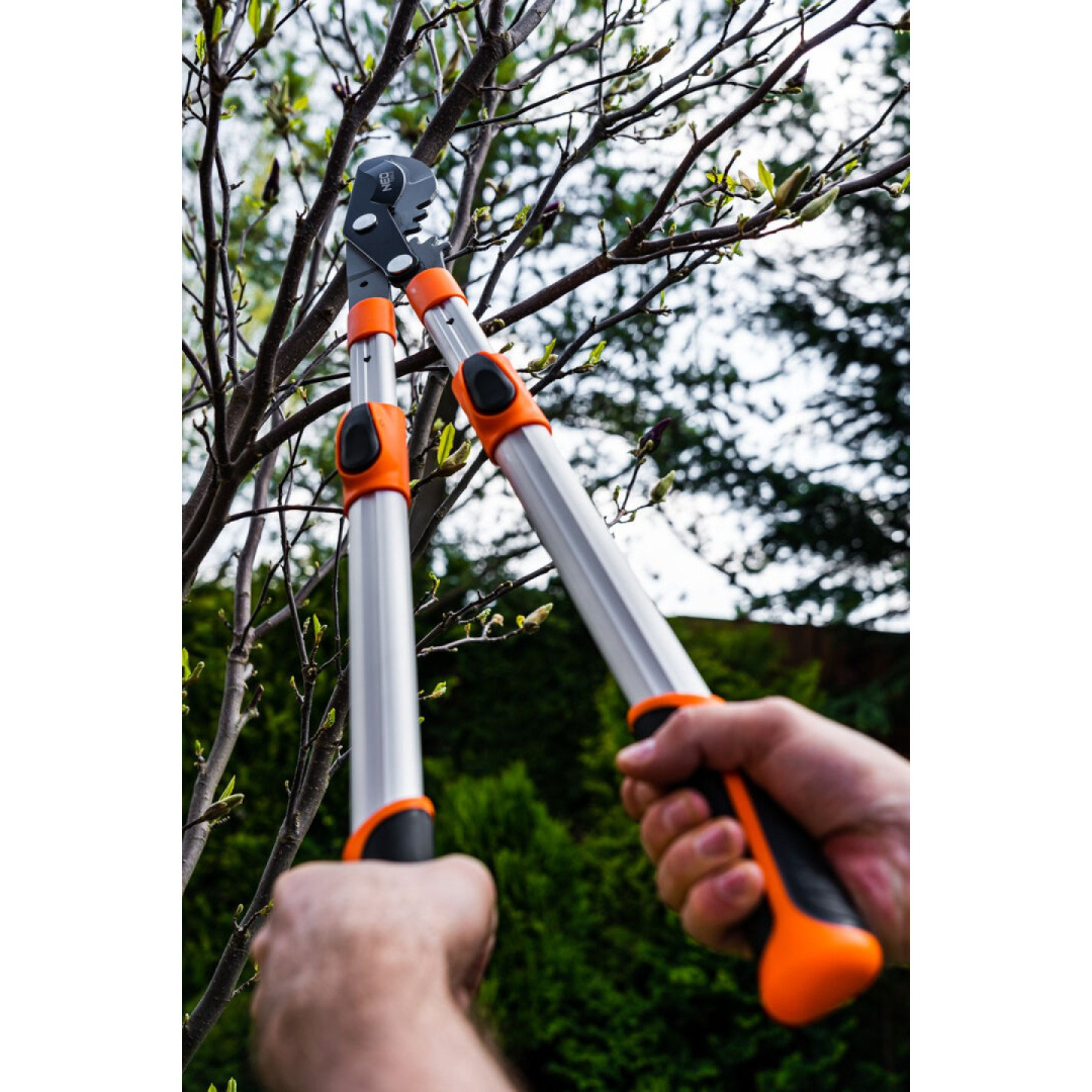 Teleskopinės apeinamųjų šakų genėjimo žirklės 665 mm, diapazonas iki 42 mm, pavara, didinanti spaudimo jėgą 40 %. 6