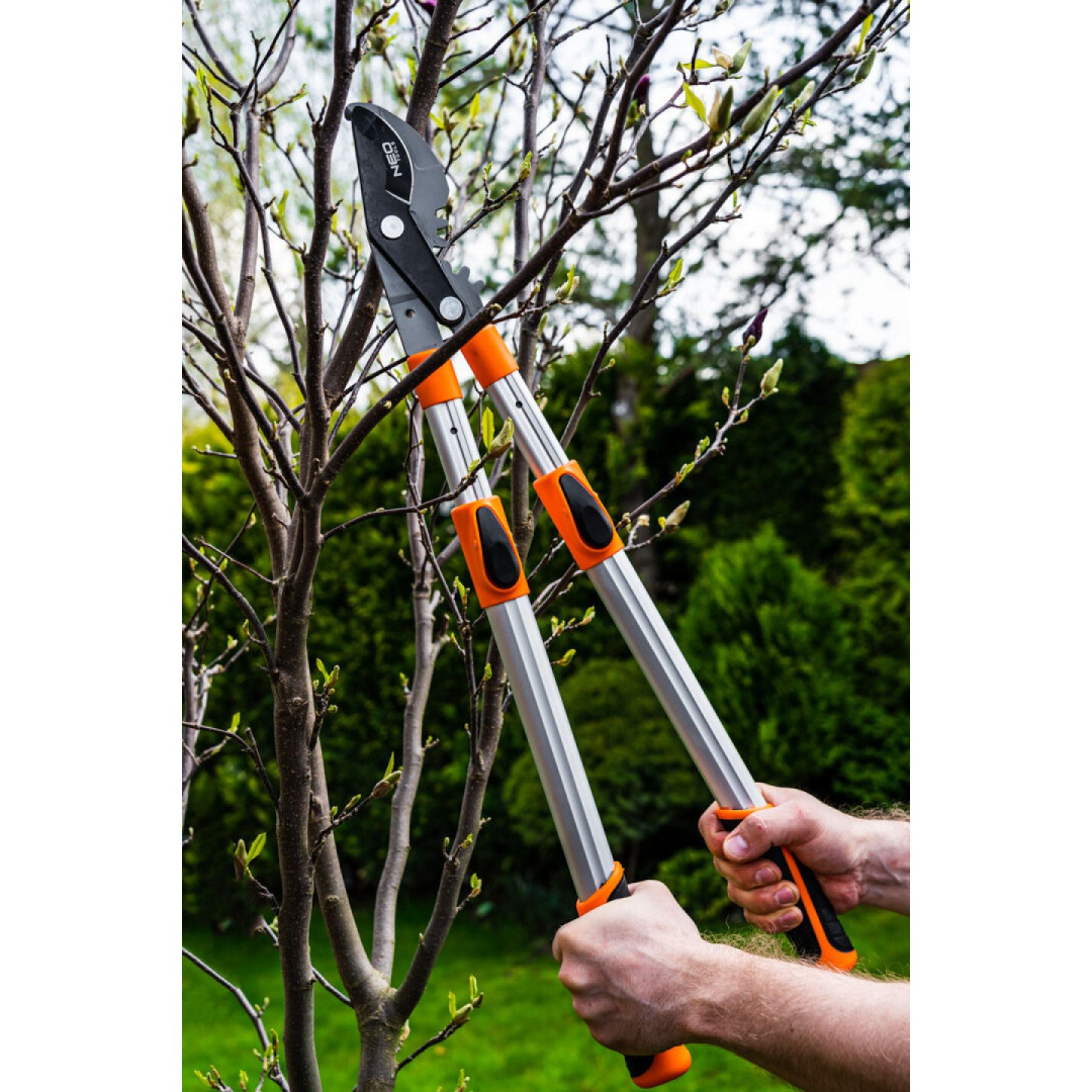 Teleskopinės apeinamųjų šakų genėjimo žirklės 665 mm, diapazonas iki 42 mm, pavara, didinanti spaudimo jėgą 40 %. 7 Teleskopinės apeinamųjų šakų genėjimo žirklės 665 mm, diapazonas iki 42 mm, pavara, didinanti spaudimo jėgą 40 %. 7