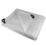Tentas Dedra N09035, 3x5 m, 100 g/m2, skaidrus