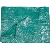Tentas | žalias | 2 X 3 m | 57g/m2 (85131)
