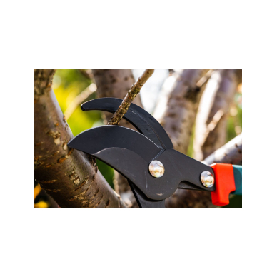 Telescopic Pruning shears  700-1000 mm, cutting diameter 35 mm 4