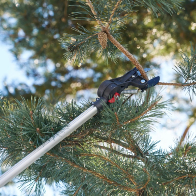 Teleskopinis sekatorius FELCO 290 3 Teleskopinis sekatorius FELCO 290 3