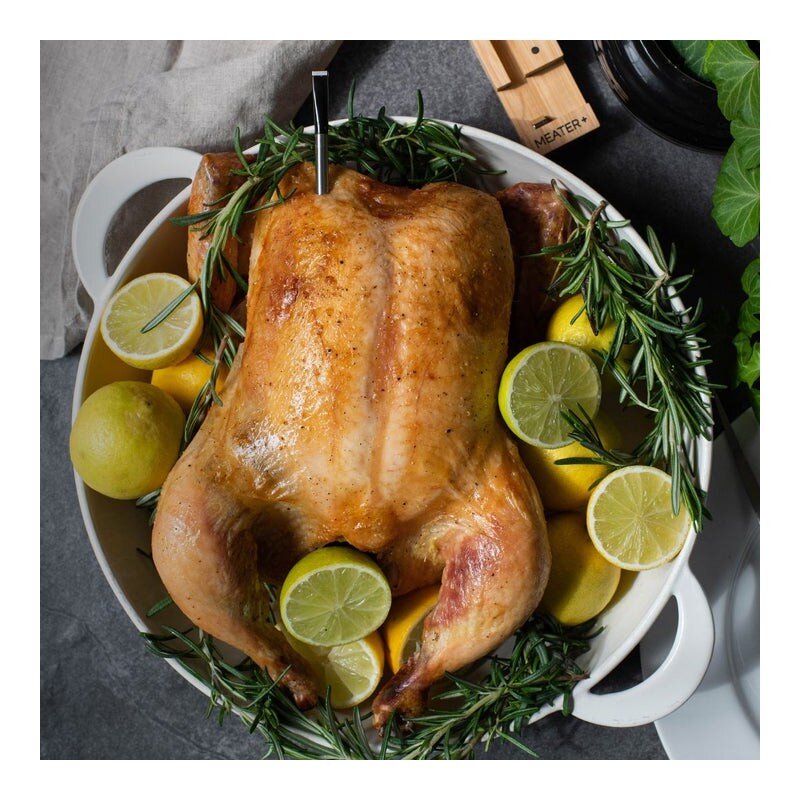 Termometras MEATER Plus 8 Termometras MEATER Plus 8